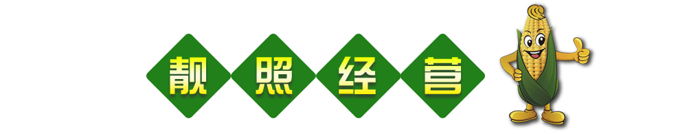 營(yíng)業(yè)執(zhí)照